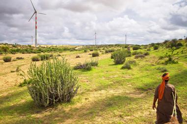 photo of wind farm in India with man looking on