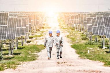 photograph of workers in a solar farm