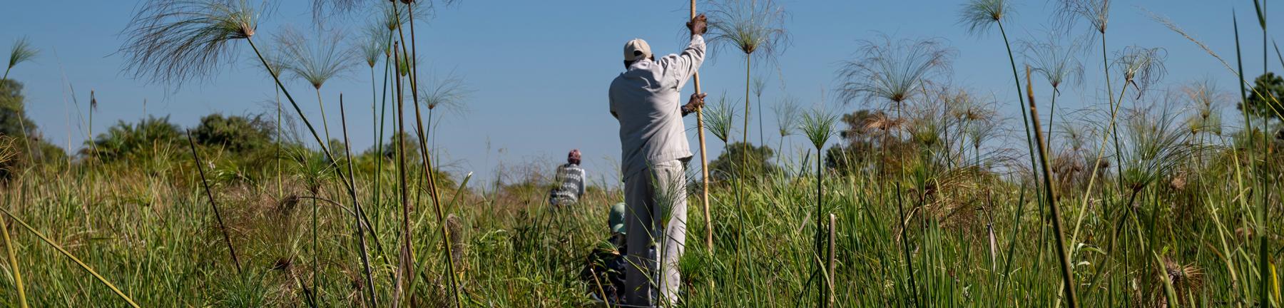 Image showing people on a boat in the Okavango Delta in north-west Botswana